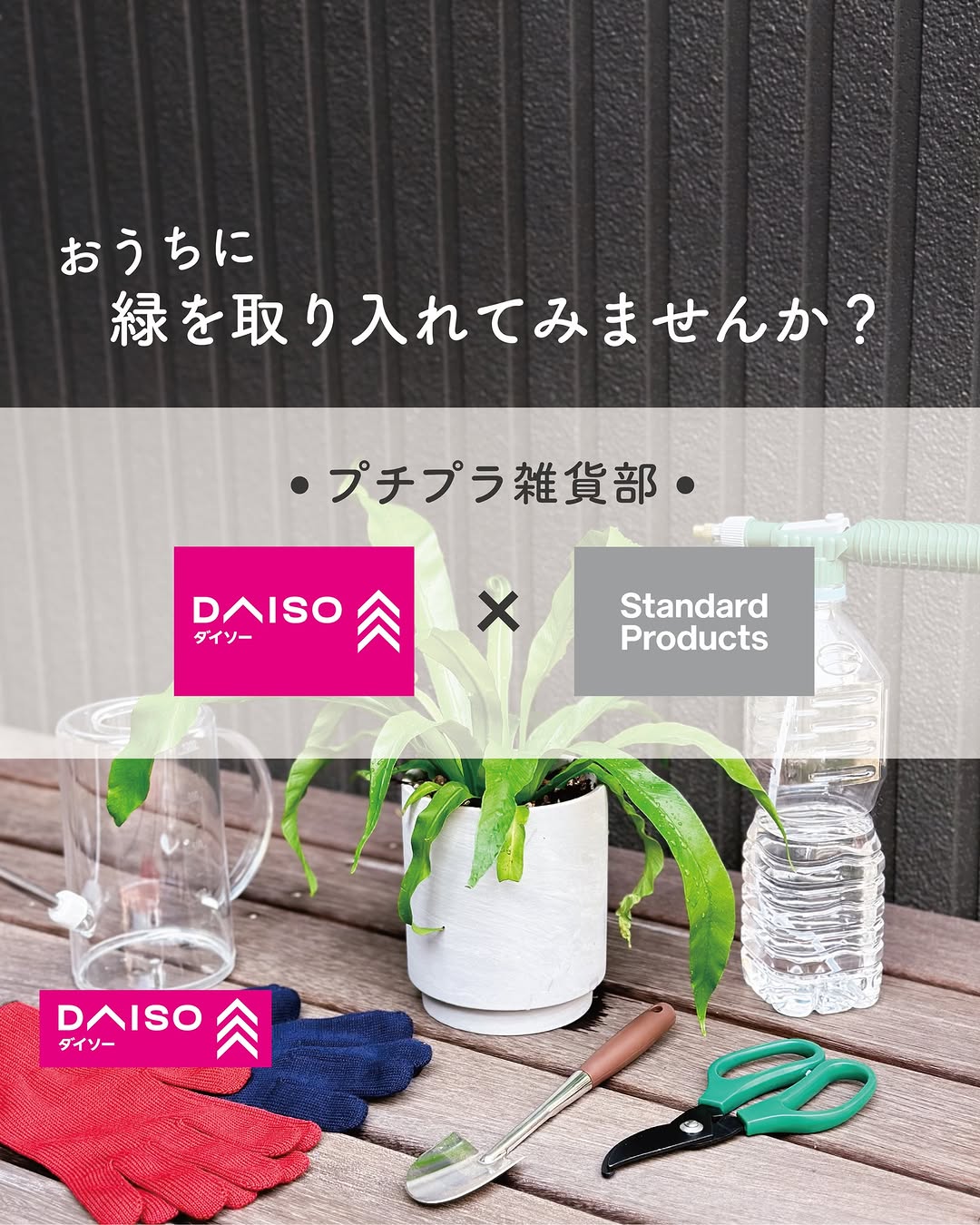 ガーデニング用品 ダイソー スタンダードプロダクツ