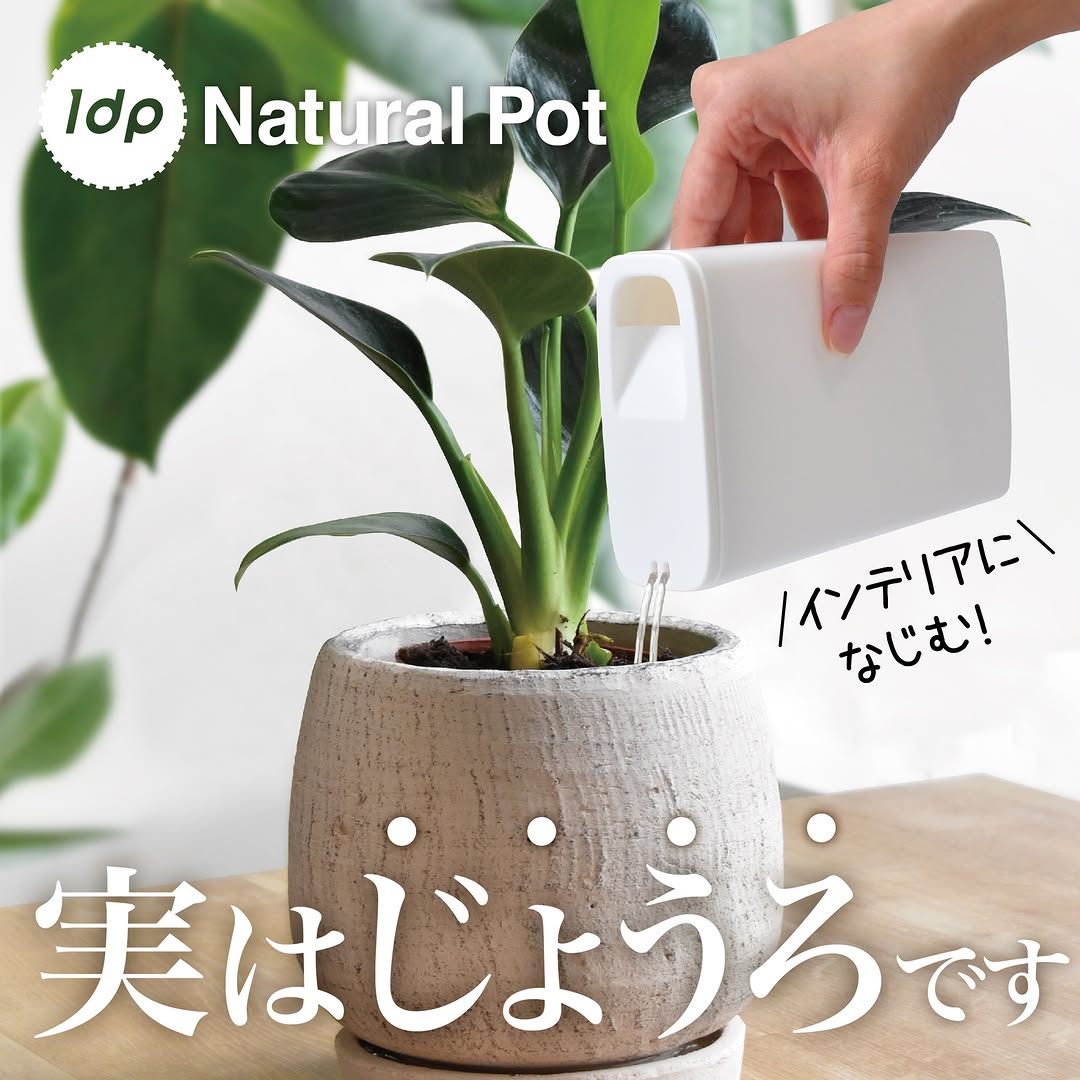 1dpナチュラルポット 本棚じょうろ
