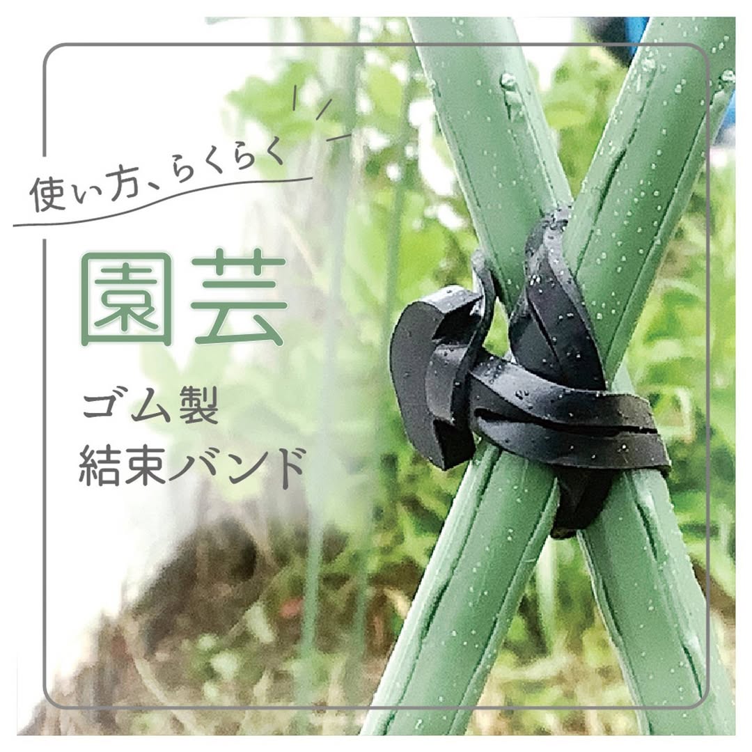 ダイソー アンカーバンド