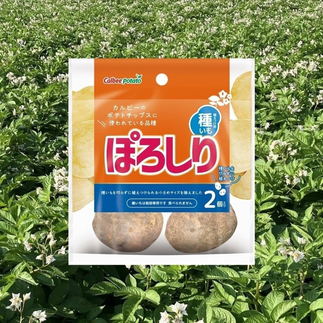 ダイソー 種芋ぽろしり