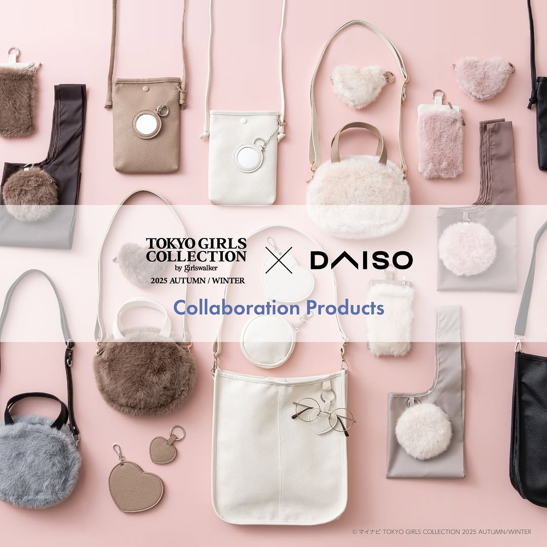 DAISO×TGC 秋冬バッグと小物のイメージ