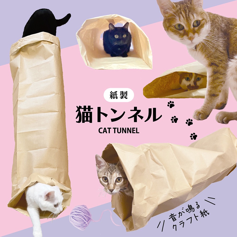 ダイソーの猫トンネル