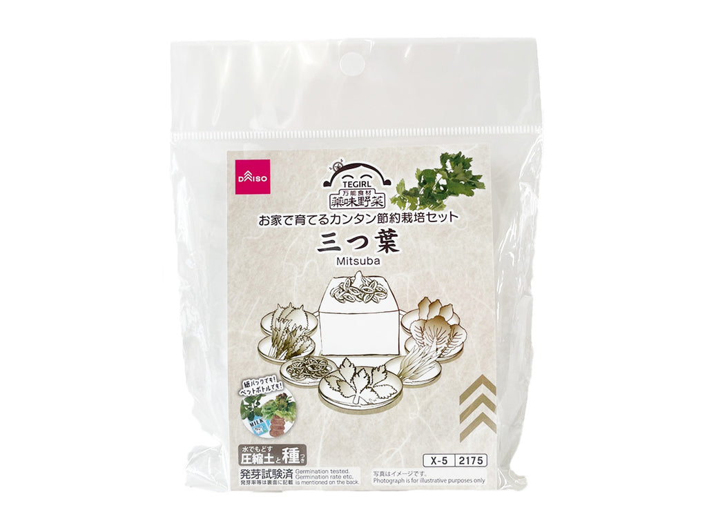 栽培セット 三つ葉 ダイソー(DAISO)