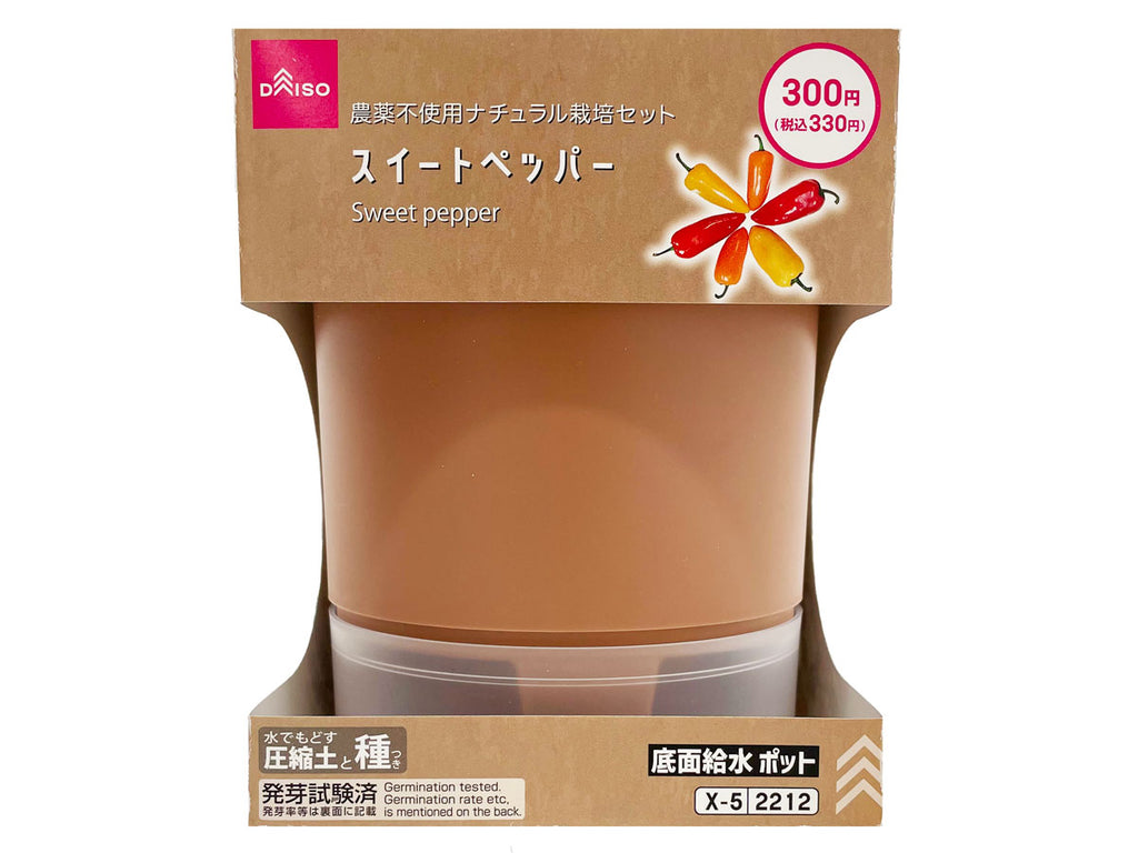 栽培セット スイートペッパー ダイソー(DAISO)