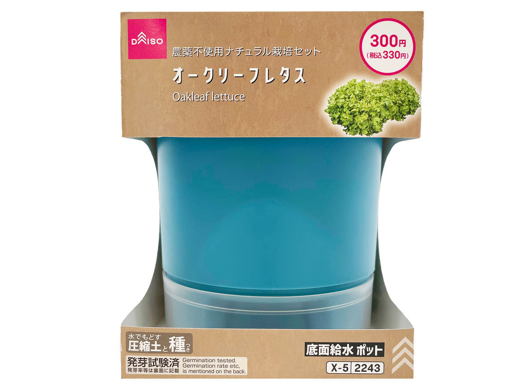 栽培セット オークリーフレタス ダイソー(DAISO)