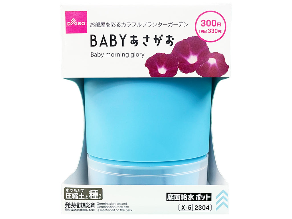 栽培セット ＢＡＢＹあさがお ダイソー(DAISO)