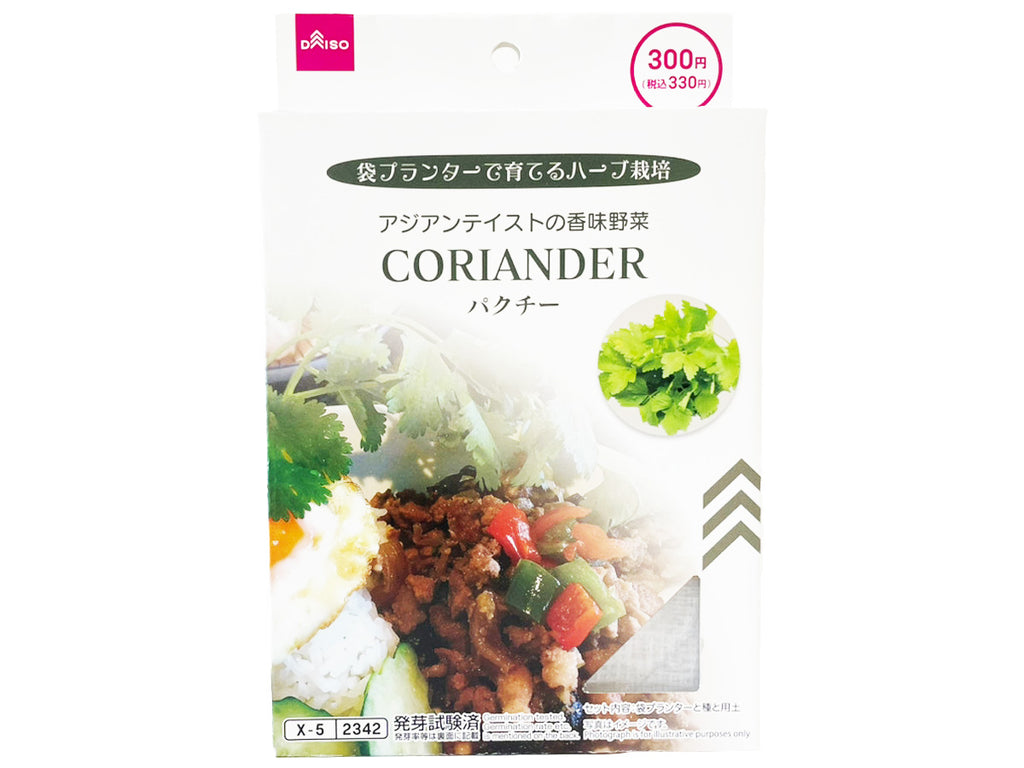 栽培セット パクチー ダイソー(DAISO)