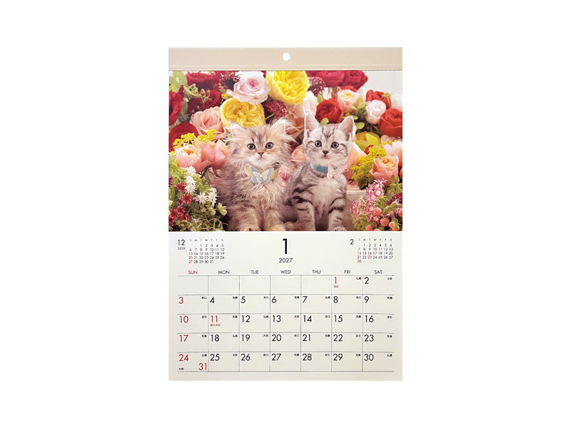 ２０２７年フォトカレンダー（Ｂ４、猫） ダイソー(DAISO)