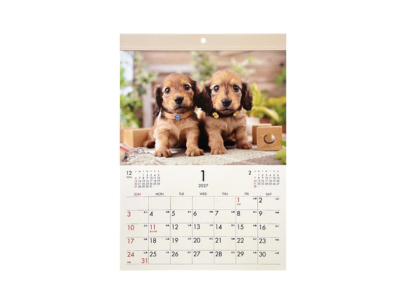 ２０２７年フォトカレンダー（Ｂ４、犬） ダイソー(DAISO)