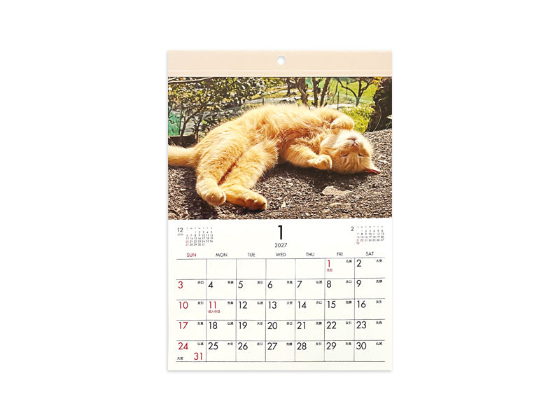 ２０２７年フォトカレンダー（Ａ４、猫） ダイソー(DAISO)