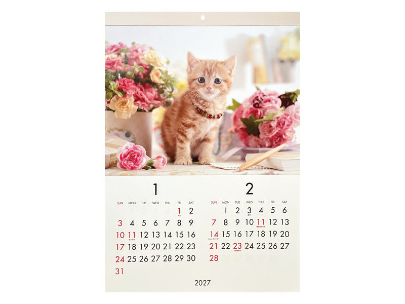 ２０２７年フォトカレンダー（Ｂ３、猫） ダイソー(DAISO)