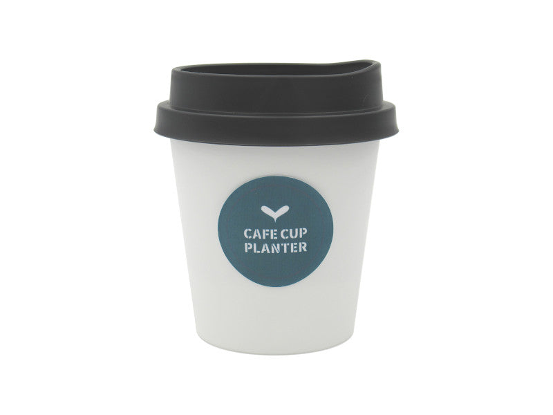 カフェカップ風プランター ダイソー(DAISO)