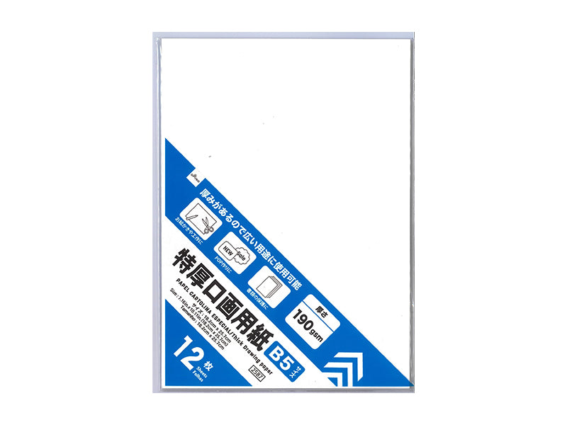 特厚口画用紙（Ｂ５サイズ、１２枚） ダイソー(DAISO)