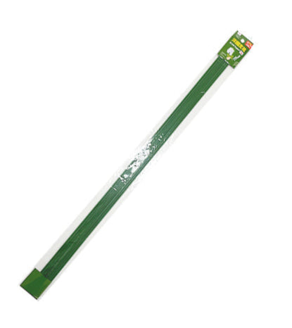 洋蘭支柱（１０本）７５ｃｍ ダイソー(DAISO)