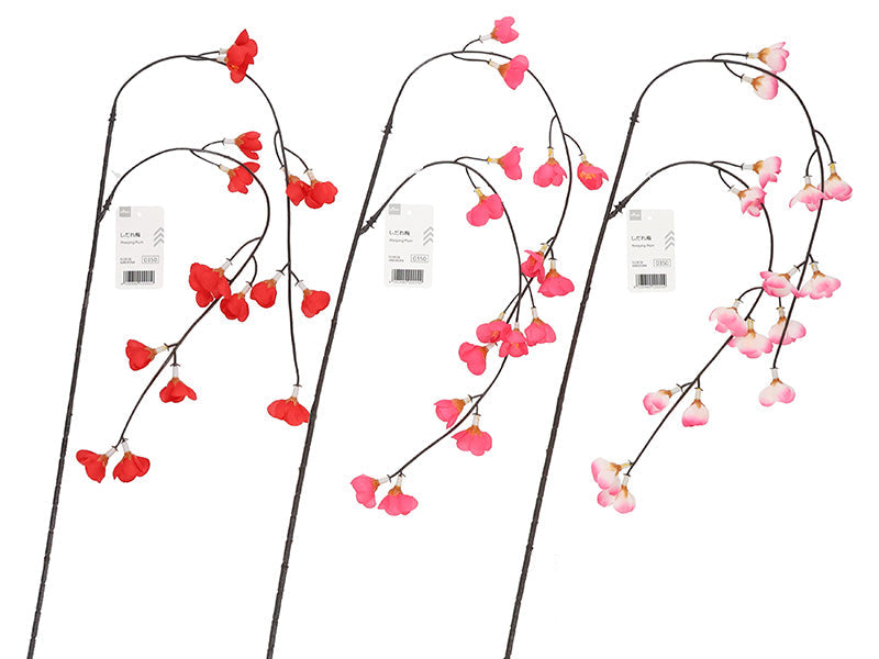 しだれ梅 ダイソー(DAISO)