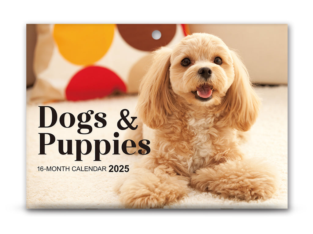 ２０２５年壁掛けカレンダー（Ｂ４、Ｄｏｇｓ＆Ｐｕｐｐｉｅｓ） ダイソー(DAISO)