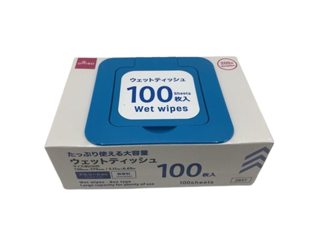 ウェットティッシュ（箱タイプ、１００枚） ダイソー(DAISO)