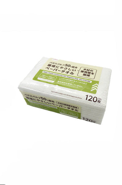 バガスパルプ５０％配合ペーパータオル（１２０枚） ダイソー(DAISO)