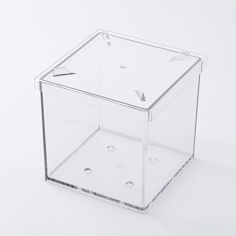 トレイ付クリア植木鉢（四角、４号）１２ｃｍ ダイソー(DAISO)