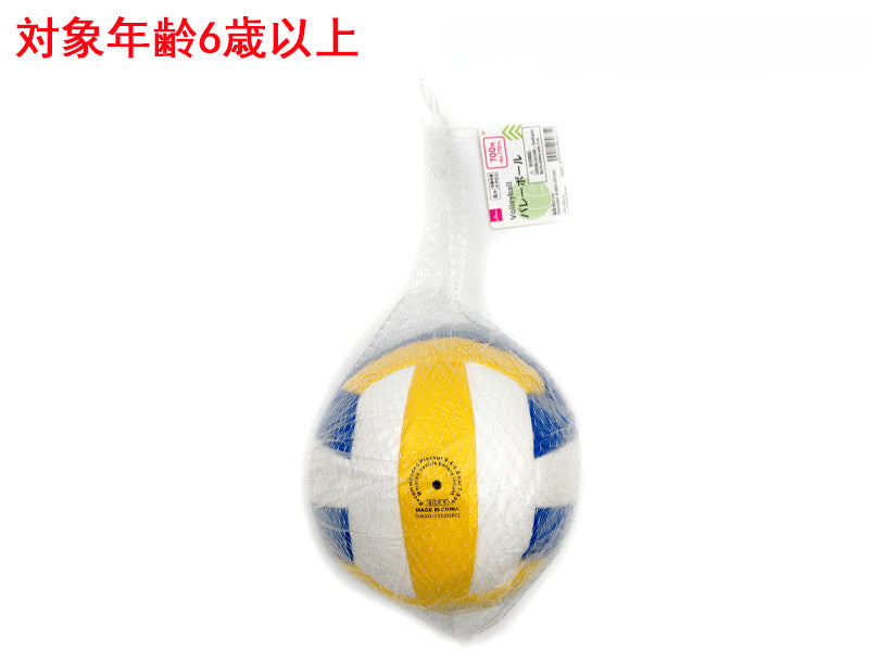バレーボール ダイソー(DAISO)