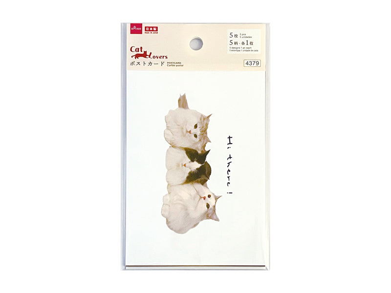 ポストカード（猫文具、写真） ダイソー(DAISO)