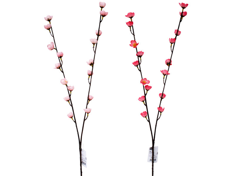桃 ダイソー(DAISO)
