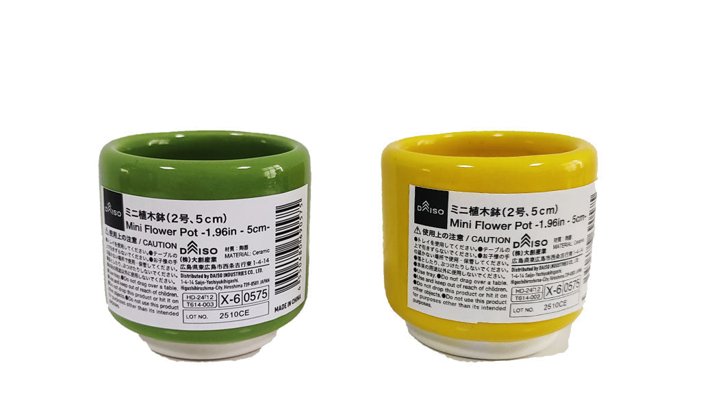 ミニ植木鉢 ダイソー(DAISO)