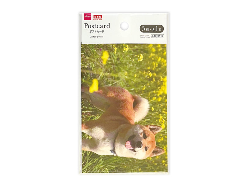 ポストカード（アニマル） ダイソー(DAISO)
