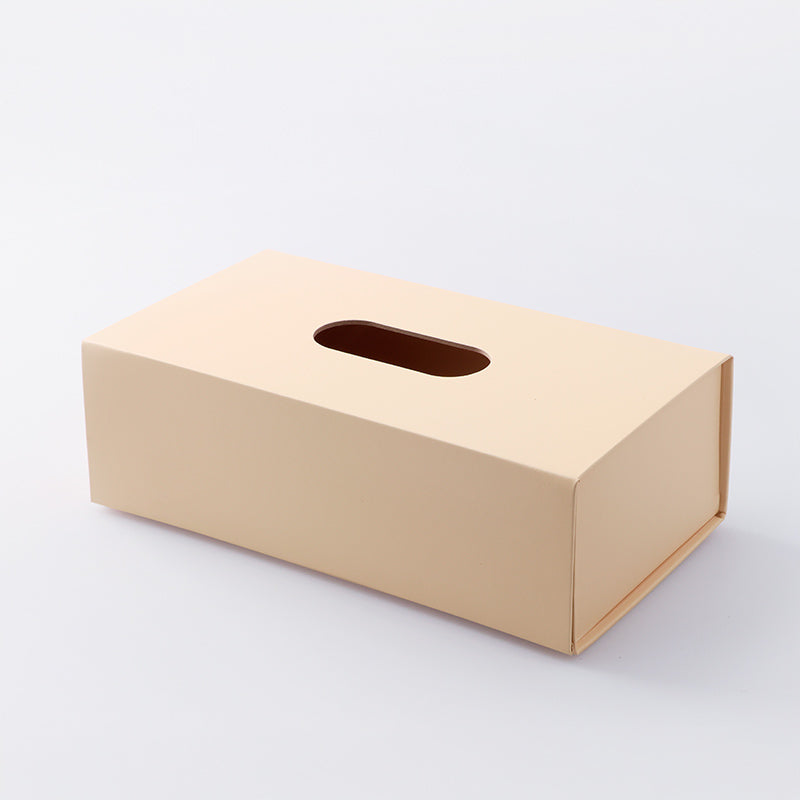 紙製マグネットティッシュケース（ＢＧ） ダイソー(DAISO)