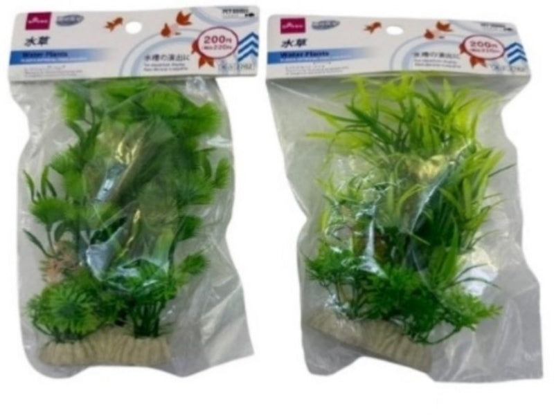 水草（Ｄ） ダイソー(DAISO)