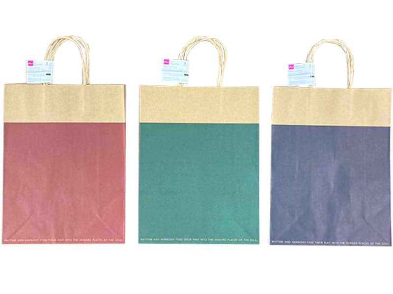 ペーパーバッグ（ベーシックカラー、２枚） ダイソー(DAISO)