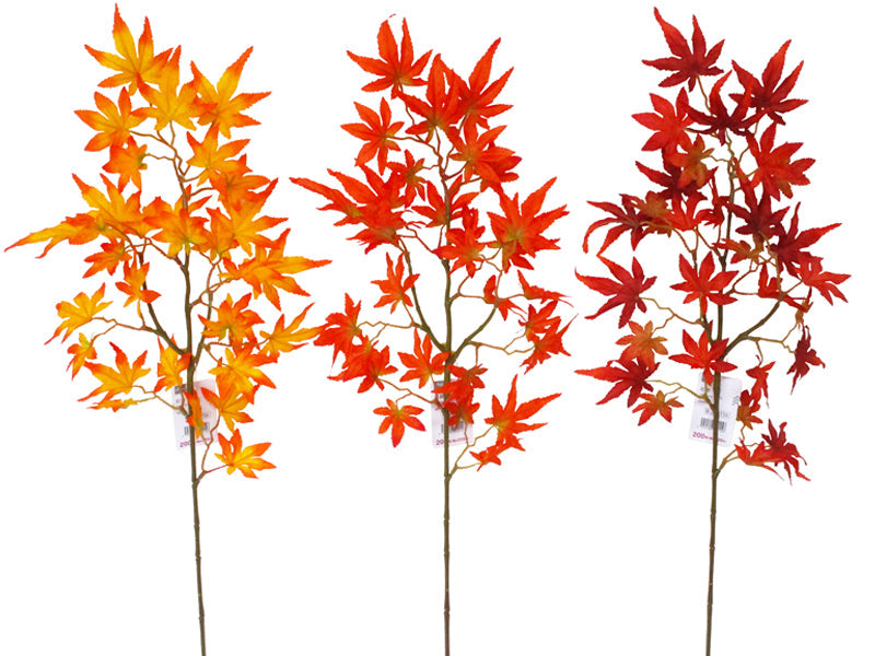 紅葉 ダイソー(DAISO)