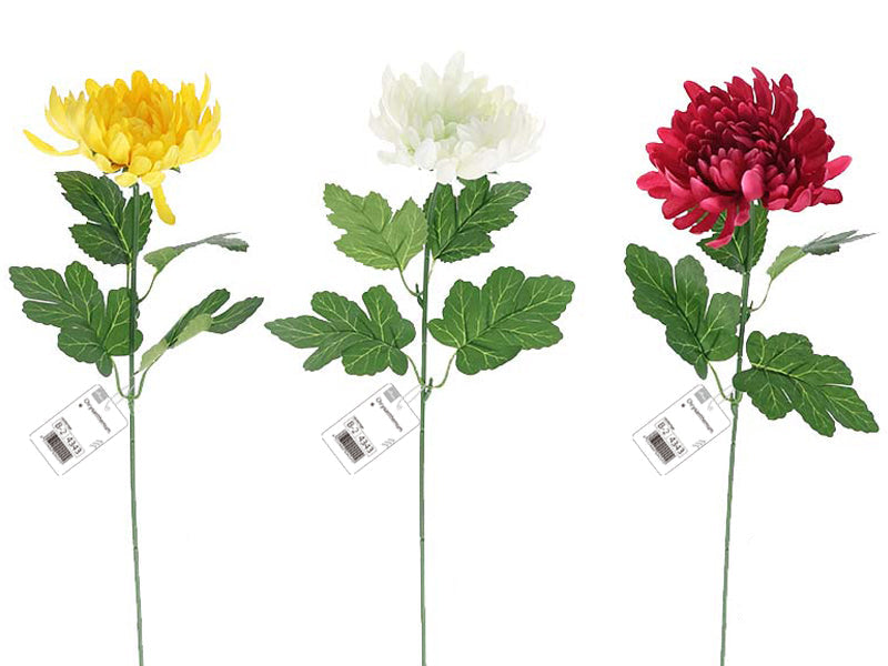 菊 ダイソー(DAISO)