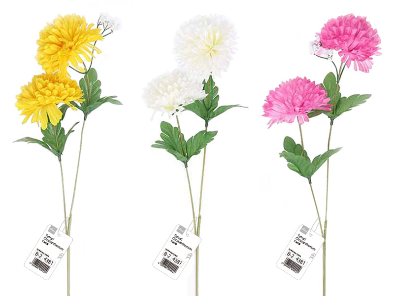 てまり菊 ダイソー(DAISO)