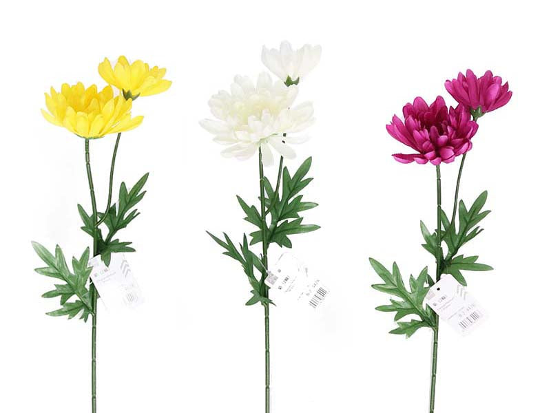 菊（２輪） ダイソー(DAISO)