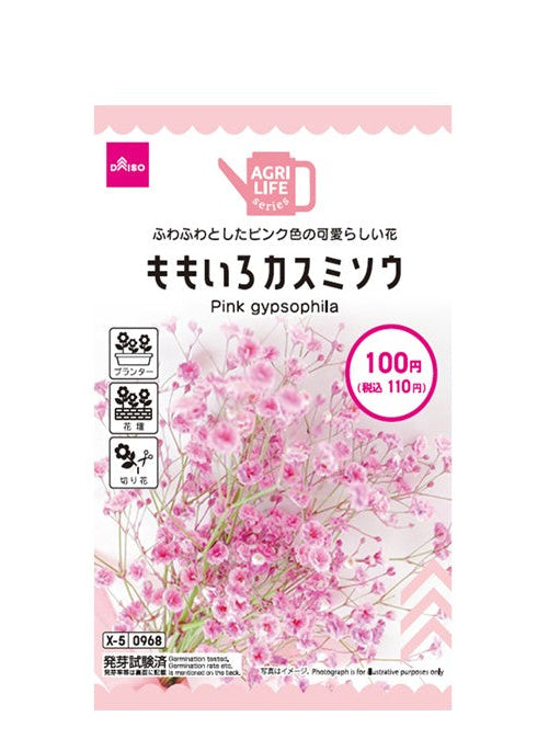 ももいろカスミソウ ダイソー(DAISO)