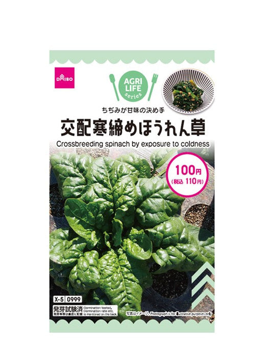 交配寒締めほうれん草 ダイソー(DAISO)