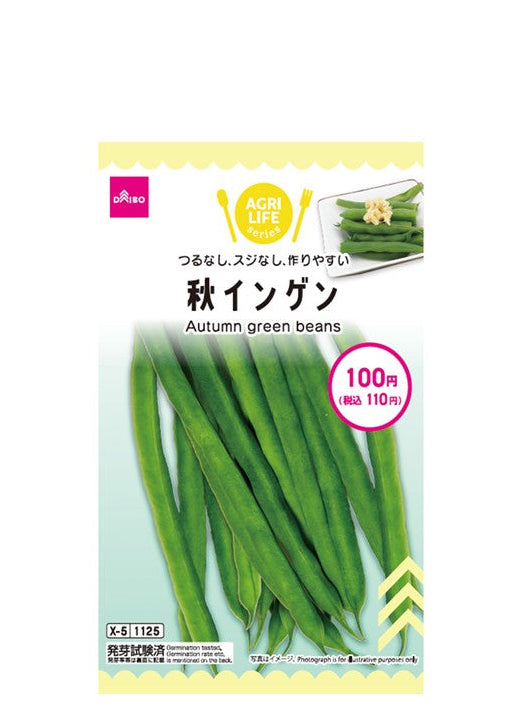 秋インゲン ダイソー(DAISO)