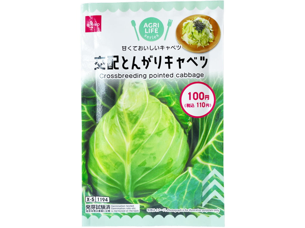 交配とんがりキャベツ ダイソー(DAISO)