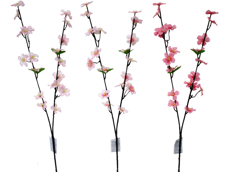 桜（染井吉野） ダイソー(DAISO)