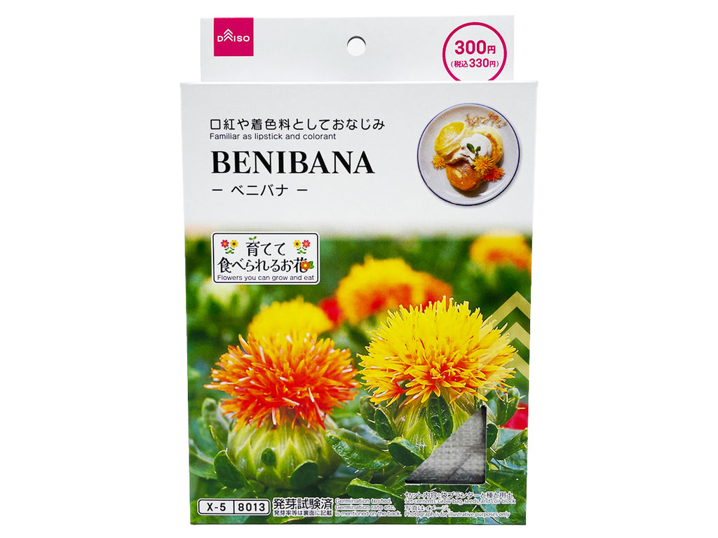 栽培セット ベニバナ ダイソー(DAISO)