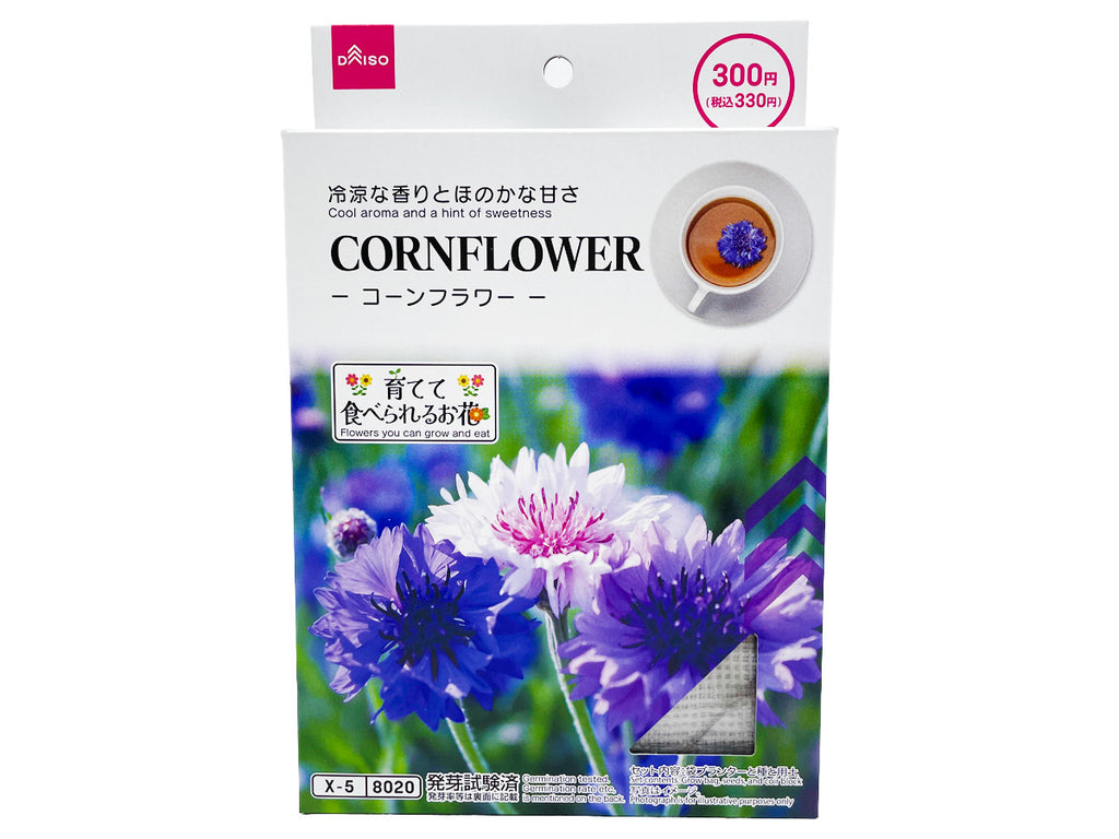 栽培セット コーンフラワー ダイソー(DAISO)