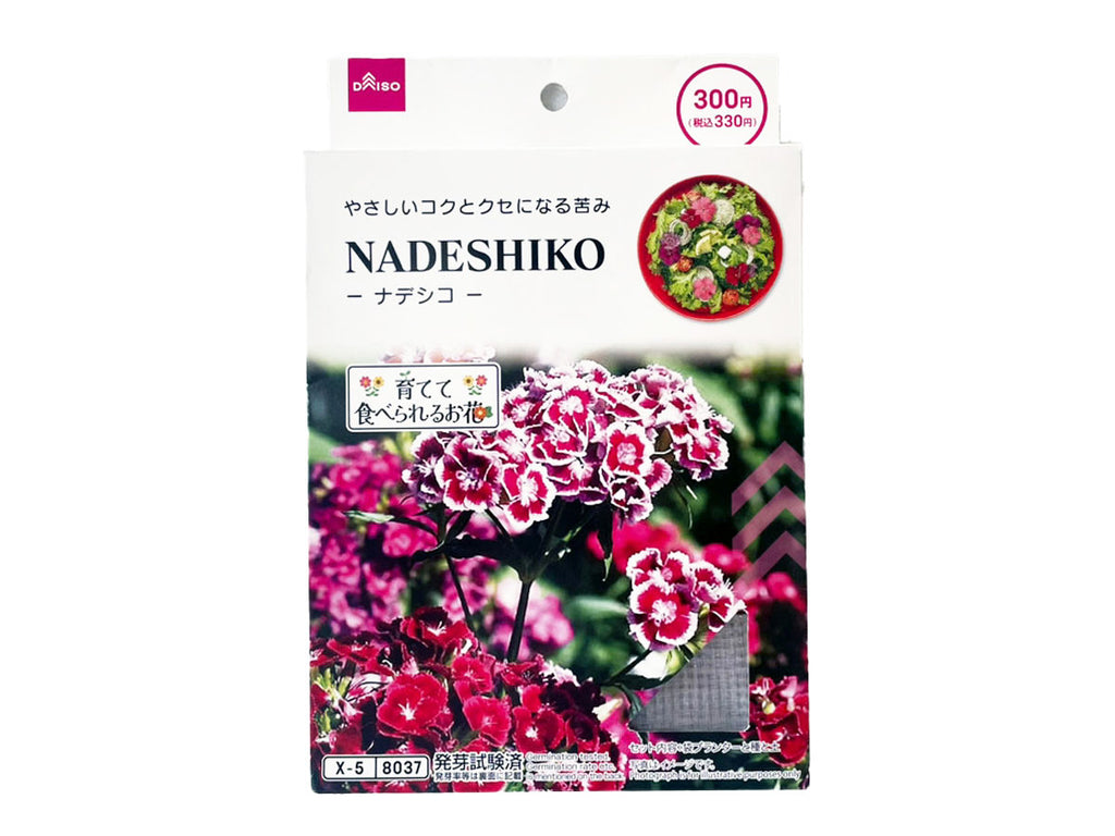 栽培セット ナデシコ ダイソー(DAISO)