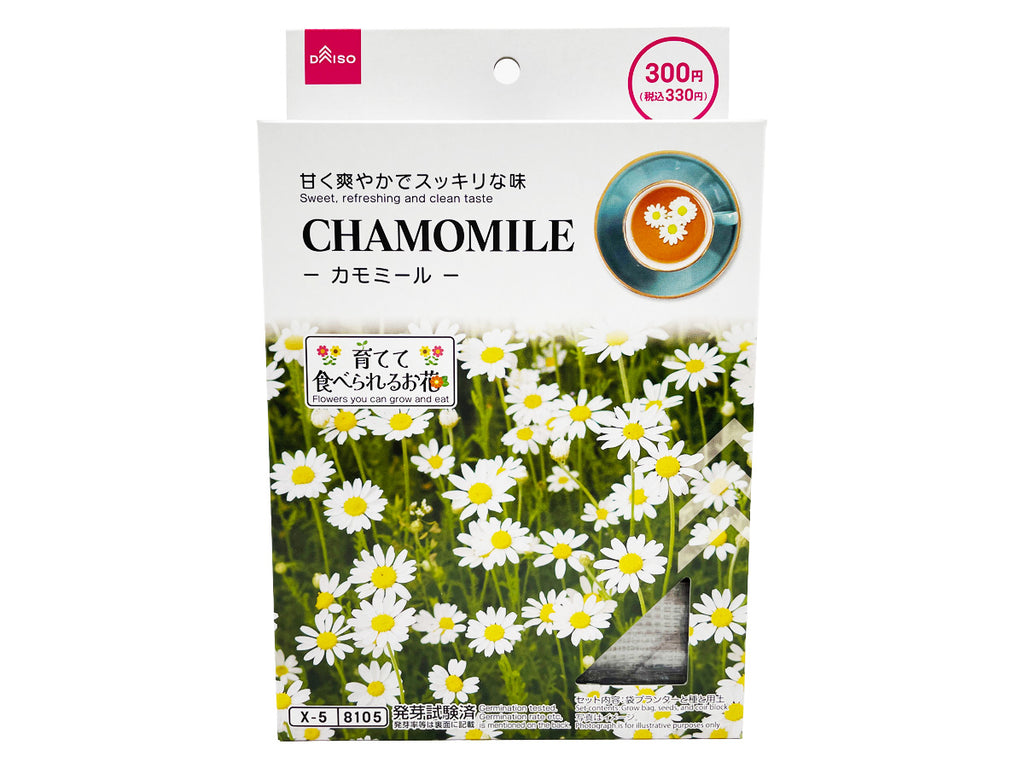 栽培セット カモミール ダイソー(DAISO)