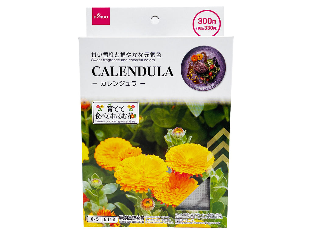 栽培セット カレンジュラ ダイソー(DAISO)