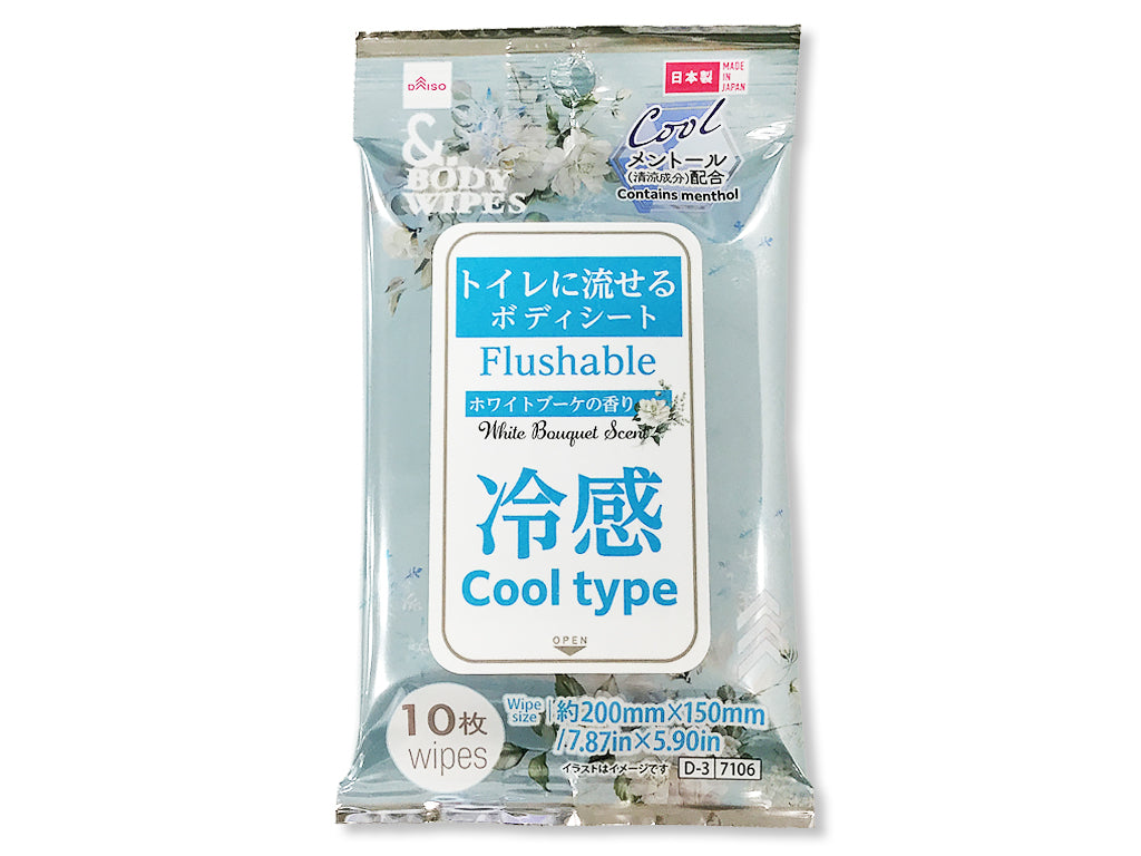 ＆．ボディシート（トイレに流せる、冷感、１０枚） ダイソー(DAISO)