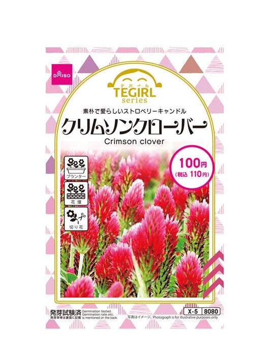 クリムソンクローバー ダイソー(DAISO)