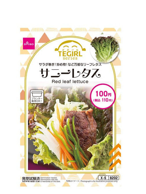 サニーレタス ダイソー(DAISO)