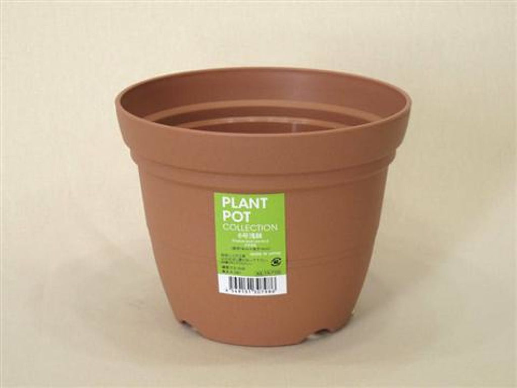 ６号浅鉢 ダイソー(DAISO)