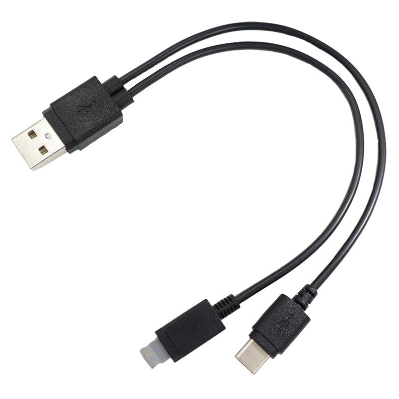 充電ケーブル（ＵＳＢ→ライトニング端子＆Ｔｙｐｅ－Ｃ、２．１ ダイソー(DAISO)